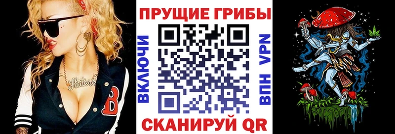 продажа наркотиков Зверево Псилоцибиновые грибы GOLDEN TEACHER